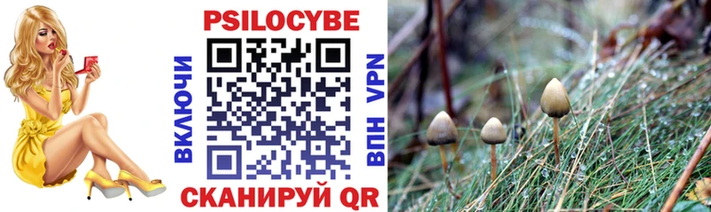Галлюциногенные грибы прущие грибы  где купить   маркетплейс состав  Касли 