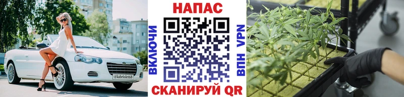 где найти   Касли  Марихуана конопля 